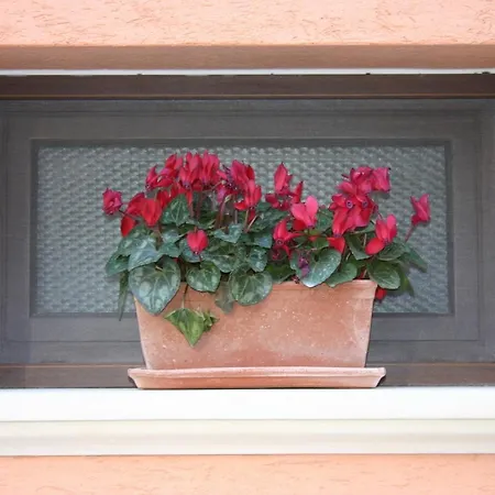 Corte Roma Affittacamere 3*